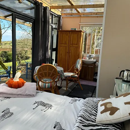 Sky Gazer In The Woods * Dublino