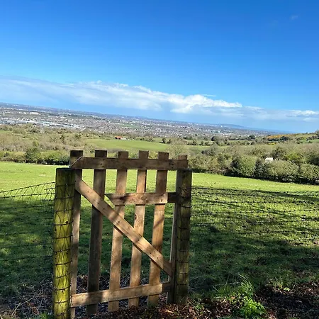 Sky Gazer In The Woods * Dublino