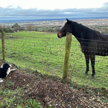 Casa vacanze Sky Gazer In The Woods Dublino