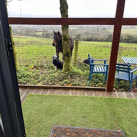 Sky Gazer In The Woods Casa vacanze Dublino