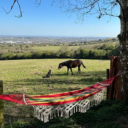 Casa vacanze Sky Gazer In The Woods *