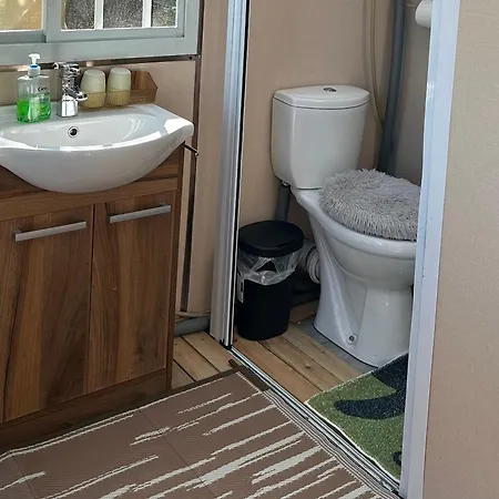 Sky Gazer In The Woods