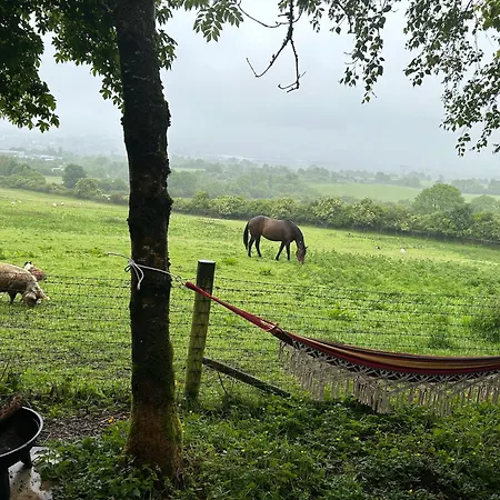Casa vacanze Sky Gazer In The Woods *