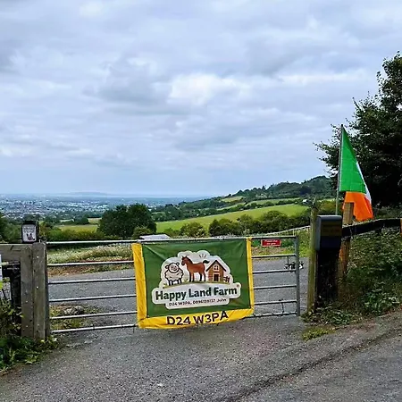 Sky Gazer In The Woods *
