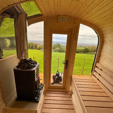 Sky Gazer In The Woods