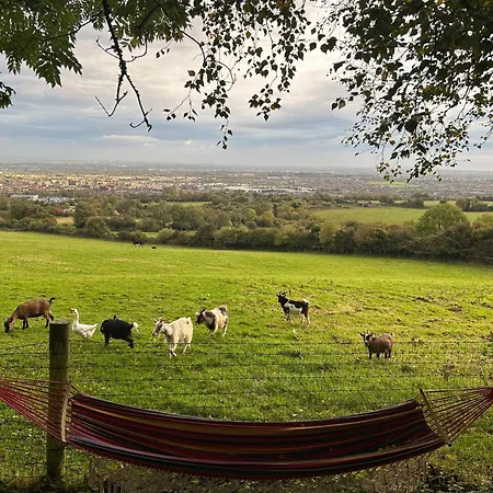 Casa vacanze Sky Gazer In The Woods
