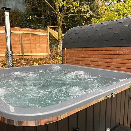 Sky Gazer In The Woods *