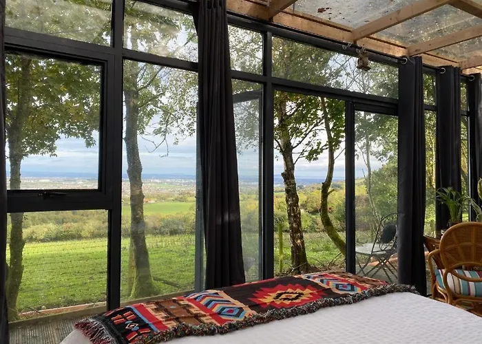 Sky Gazer In The Woods Tatil Evi