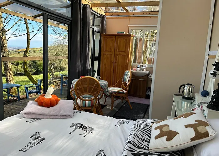 Sky Gazer In The Woods * Dublin