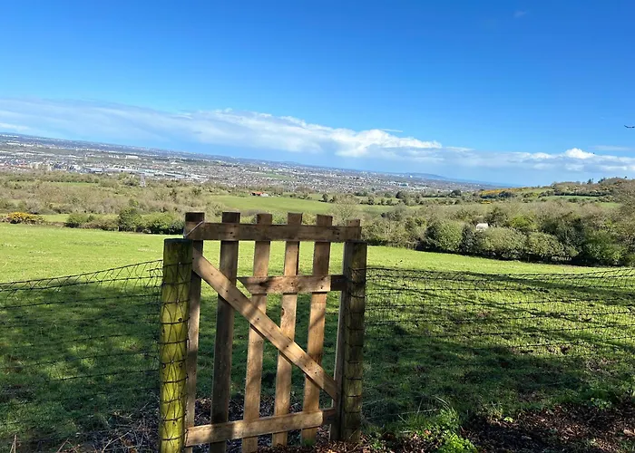 Sky Gazer In The Woods * Dublin