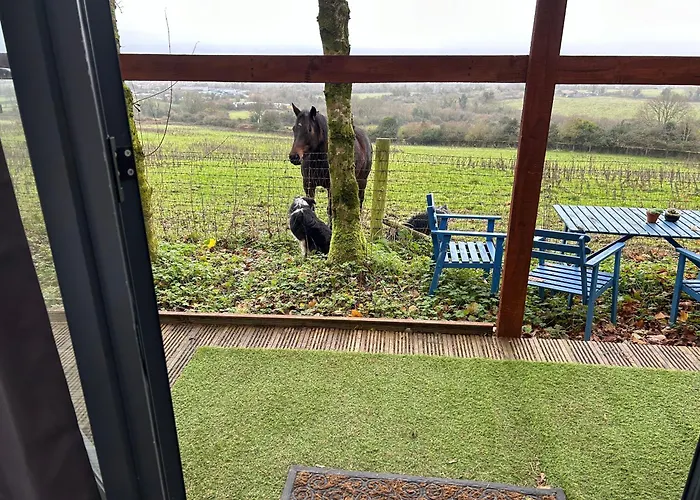 Sky Gazer In The Woods Tatil Evi Dublin