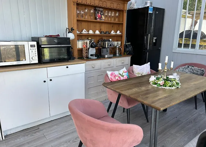 Sky Gazer In The Woods * Dublin