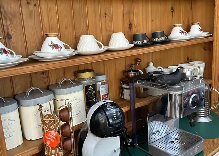 Sky Gazer In The Woods Tatil Evi