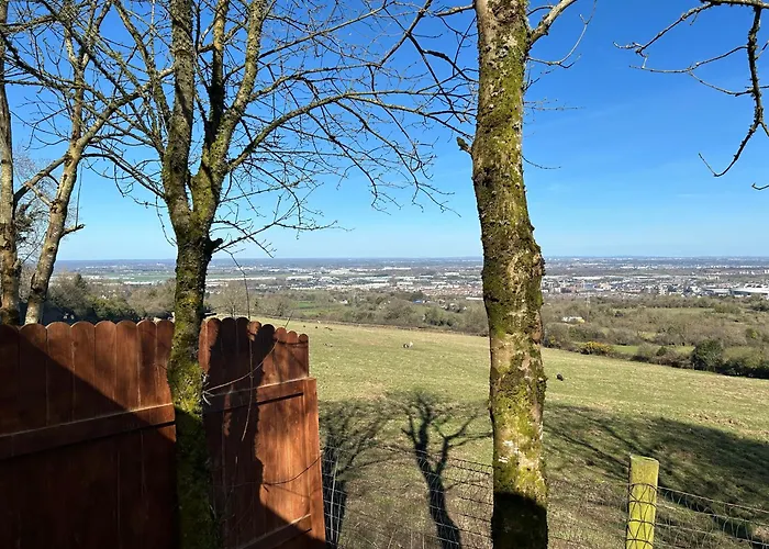 Sky Gazer In The Woods Tatil Evi Dublin