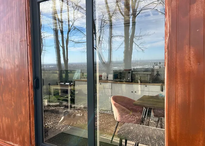 Sky Gazer In The Woods *