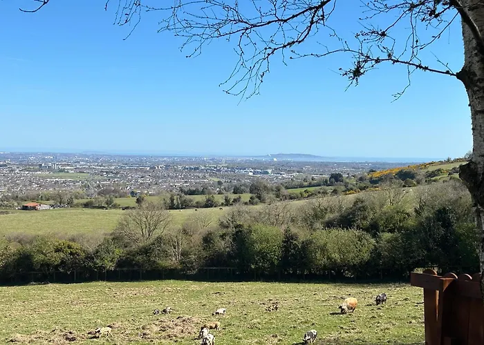 Sky Gazer In The Woods * Dublin