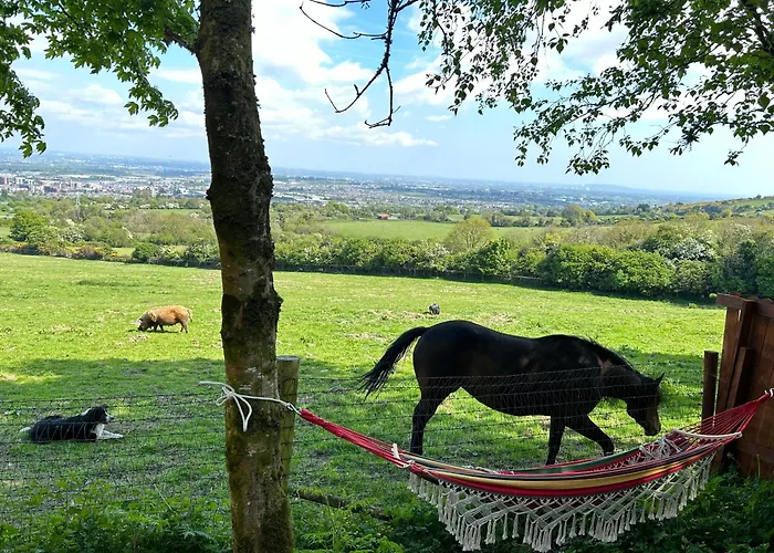 Tatil Evi Sky Gazer In The Woods *
