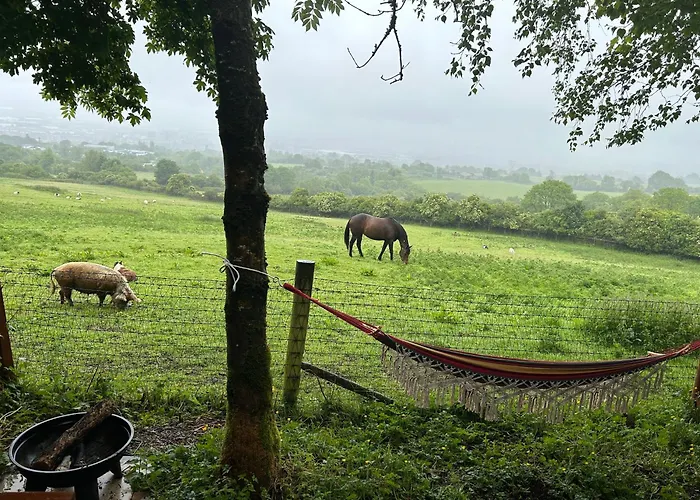 Tatil Evi Sky Gazer In The Woods *