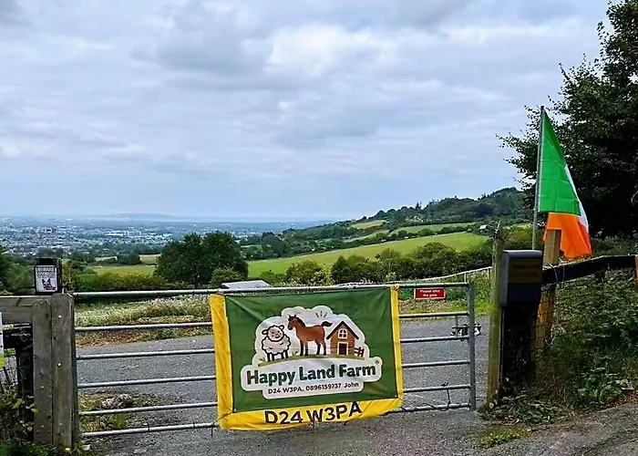 Sky Gazer In The Woods *