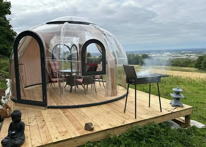 Sky Gazer In The Woods Dublin