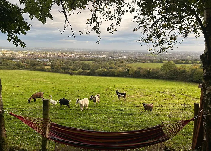 Tatil Evi Sky Gazer In The Woods