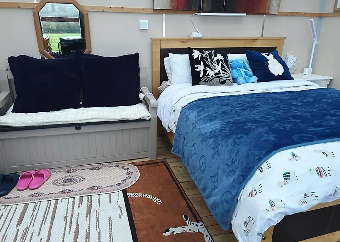 Sky Gazer In The Woods Tatil Evi