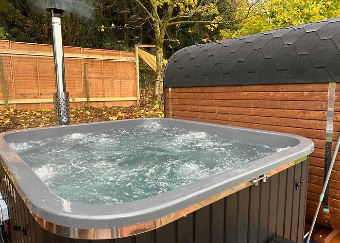 Sky Gazer In The Woods *