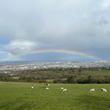 Sky Gazer In The Woods Semesterbostad Dublin