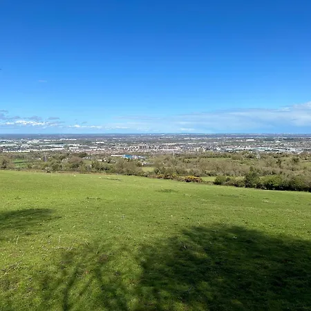 Sky Gazer In The Woods Dublin