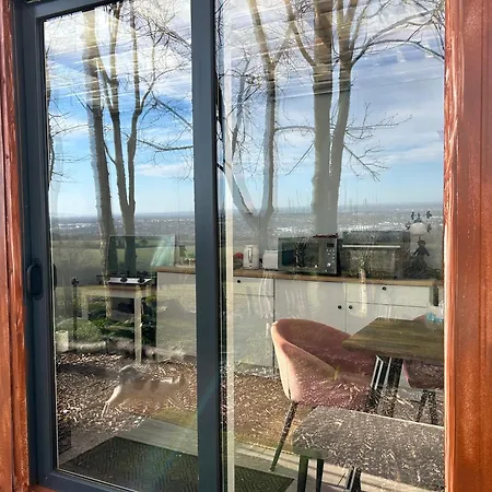 Sky Gazer In The Woods *