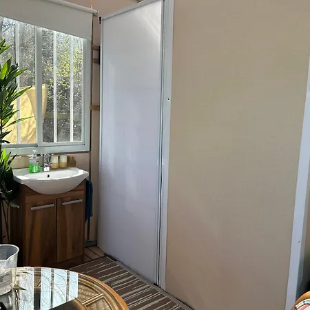 Sky Gazer In The Woods *