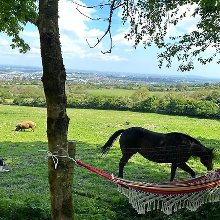 Semesterbostad Sky Gazer In The Woods *