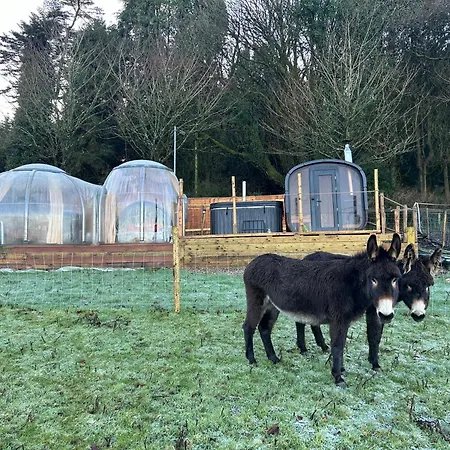 Sky Gazer In The Woods Semesterbostad