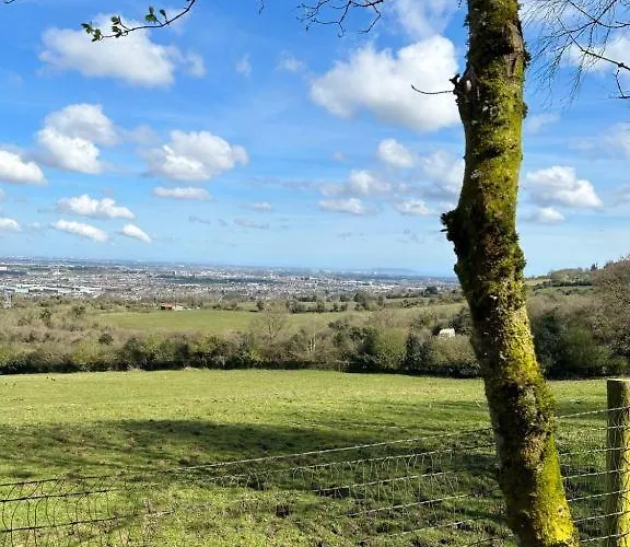 別荘 Sky Gazer In The Woods