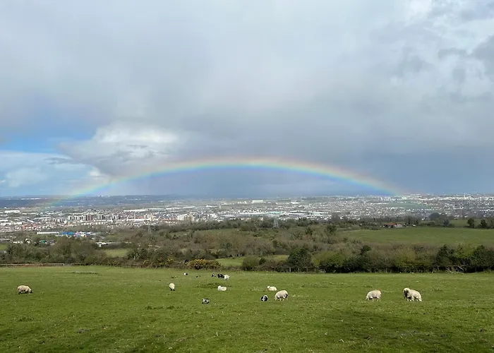 Sky Gazer In The Woods 別荘 ダブリン