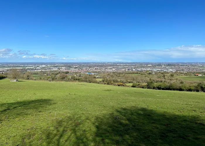 Sky Gazer In The Woods ダブリン