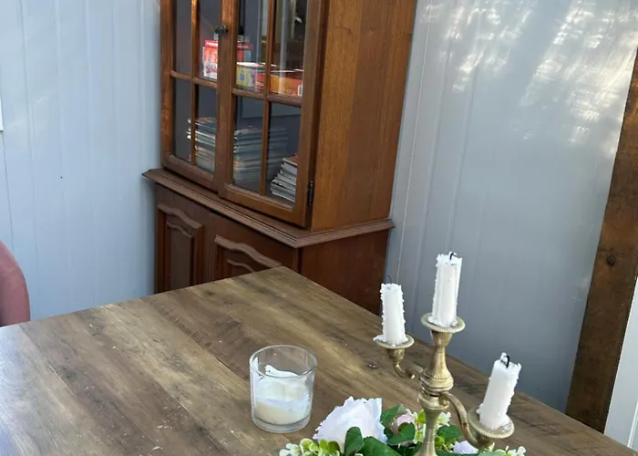 別荘 Sky Gazer In The Woods *