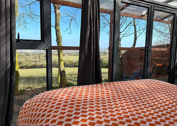 Sky Gazer In The Woods *