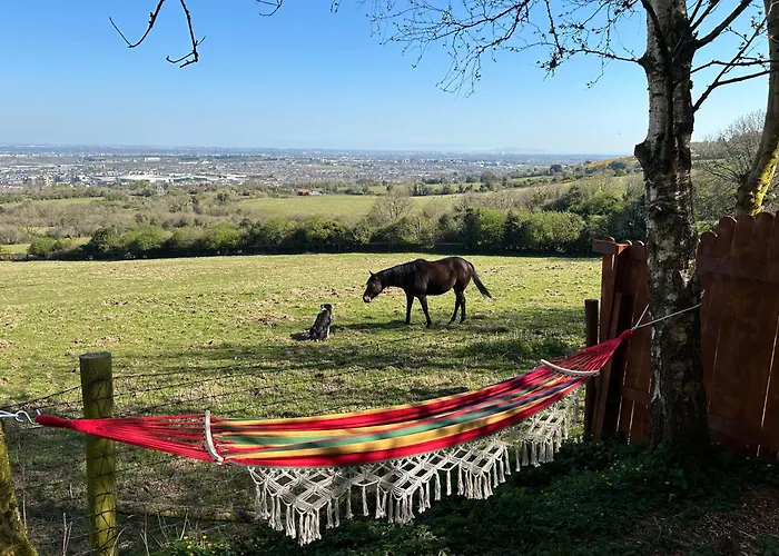 別荘 Sky Gazer In The Woods *