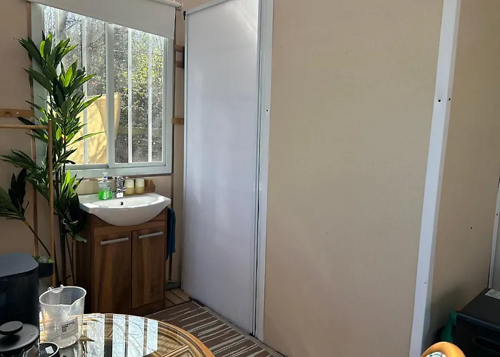 Sky Gazer In The Woods *