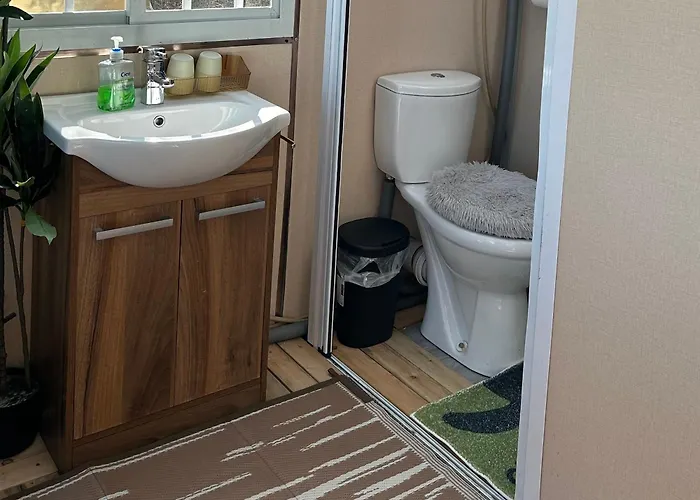 Sky Gazer In The Woods