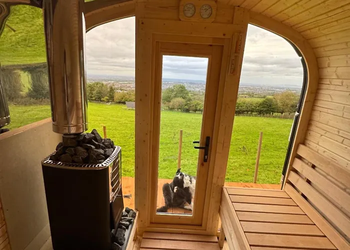 Sky Gazer In The Woods