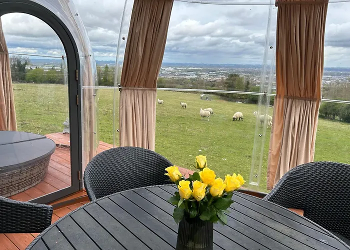 別荘 Sky Gazer In The Woods *