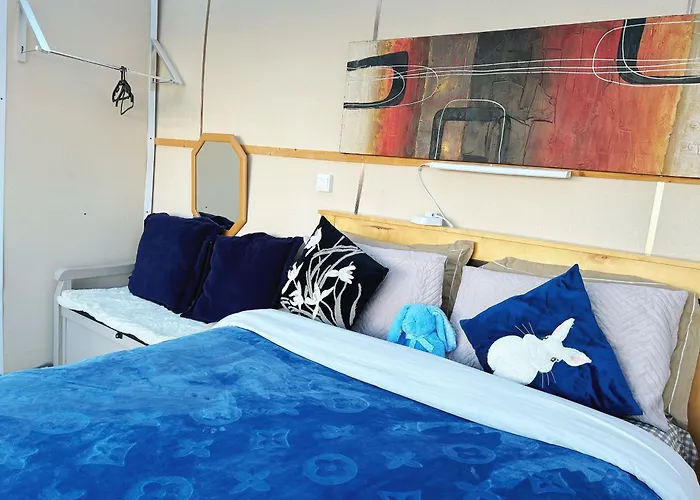 Sky Gazer In The Woods * ダブリン