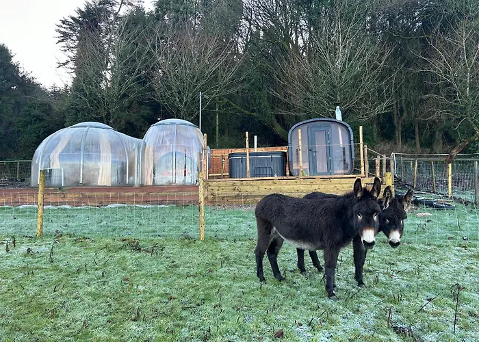 Sky Gazer In The Woods 別荘